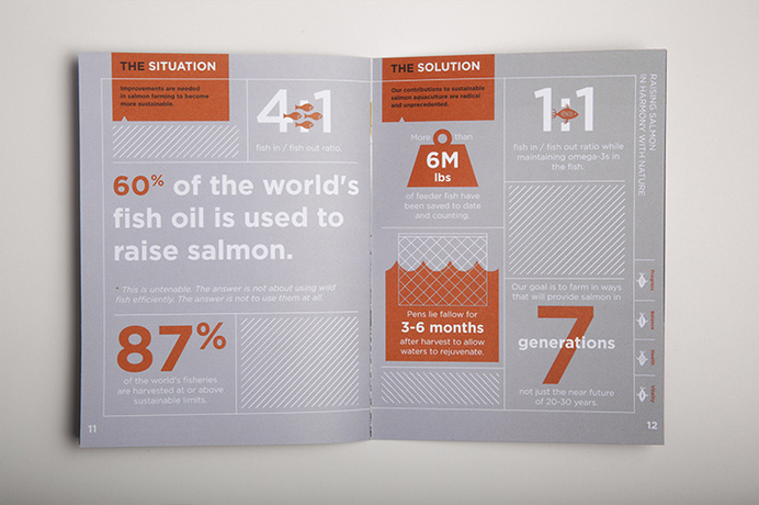 verlassoVerlasso Sustainability Brochure #print #brochure #grid #type #layout #spread #information #infographic #illustration