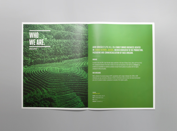 Avocado Zapotlan Brochure #avocado #mexico #mno #editorial #brochure