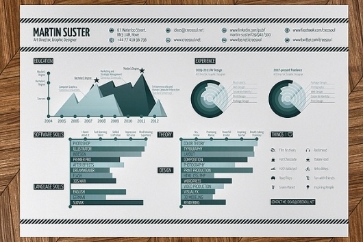 Infographic Resume on the Behance Network #infographics #resume